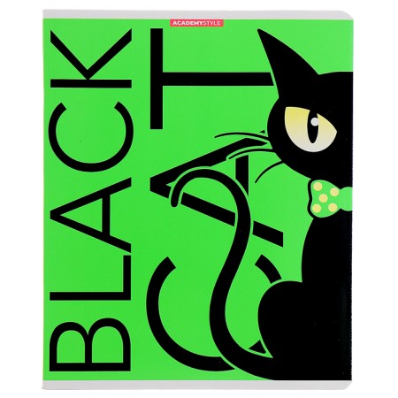 Notebook of 48 sheets in the Black Cat cage, covered cardboard, fluorescent paints, mix-6