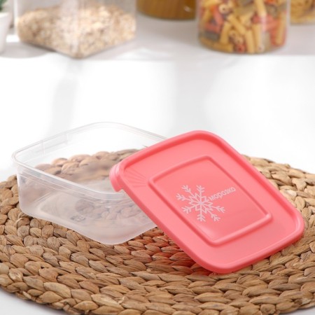 A set of containers for freezing products "Morozko", 3 pcs, 700 ml, color mix-1