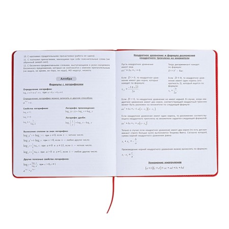 The universal diary for the 1-11 classes "Anime", a solid cover made of artificial leather, application, lies, 48 ​​sheets, red-12