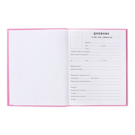 Diary 5-11 class Cat, 48 sheets, solid cover, glossy lamination, foil embossing, offset block-4