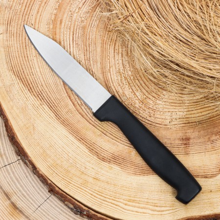 Tourist knife "Spectrum" 20cm, blade 95mm/1mm-1