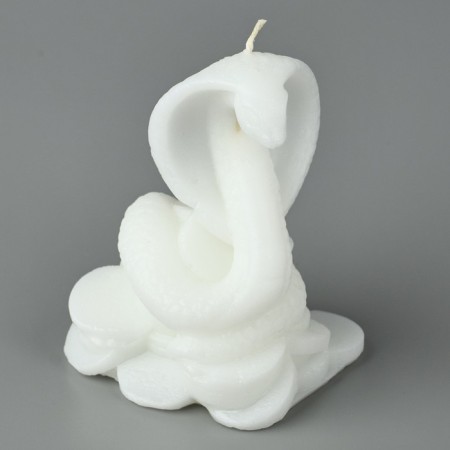 New Year 2025! Interior candle “New Year's collection: snake on coins”, white, 78 x 61 x 52-2