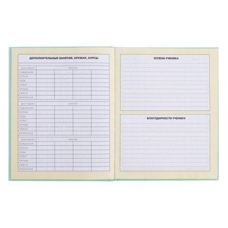Diary for grades 1-4, solid cover "Girls", matte lamination, selective varnish, block 60 g/m2-8