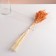 Set of dried flowers "millet", banch length 45 (+/- 6 cm), orange