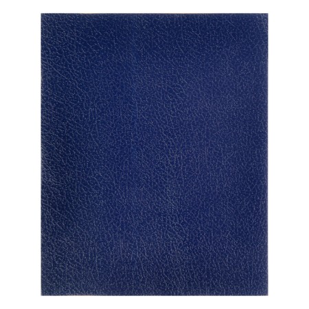 Notebook 48 sheets in the cage "Blue", the cover of the boumvil