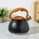 A kettle with a stainless steel whistle Magistro Heat, 3 L, TRS, Induction, Soft-Touch Hand, Black Color Black