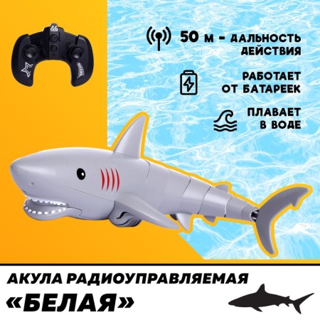 Akula radio -controlled "white", swims, works from batteries