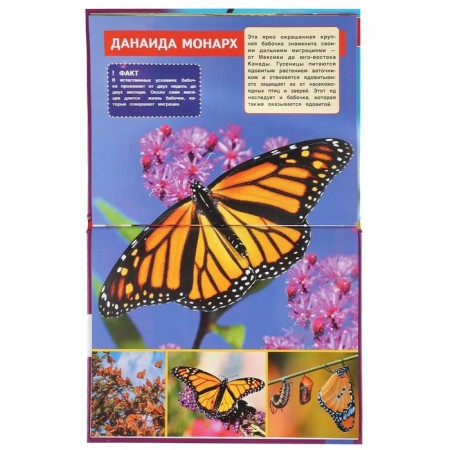 The most dangerous insects. Encyclopedia with developing tasks-4