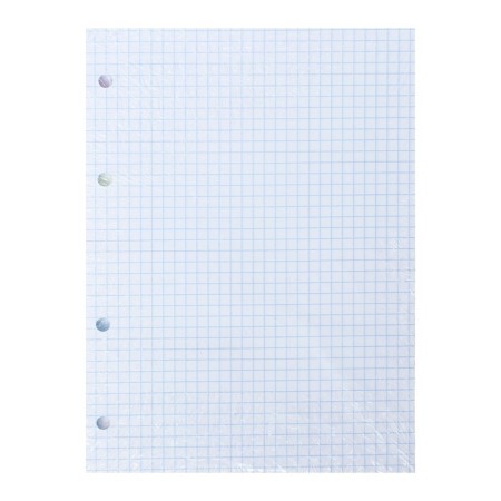 Smooth block for notebooks on rings A5, 80 sheets in a cage, white, 60 g/m2-3