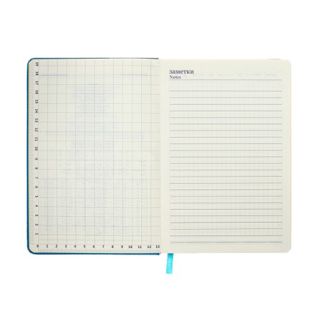 Leduced Diary A5, 140l, Cage, leatherette, elastic band, yellow cut, blue-10