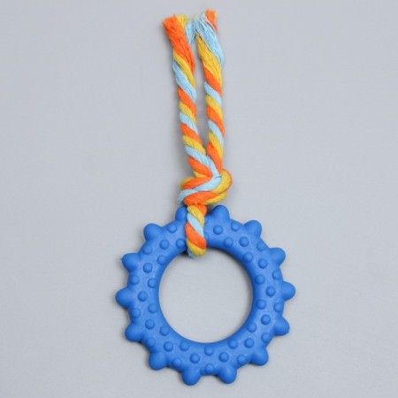 Chewing toy toy with a rope "Ring with a tail", blue-1