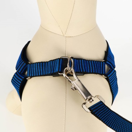 Acunition set is embossed, leash 120 x 2 cm, og 44-50 cm, blue-black-3