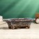 Pot - rectangular bonsire for cacti and succulents, 16.5x11.5x5cm