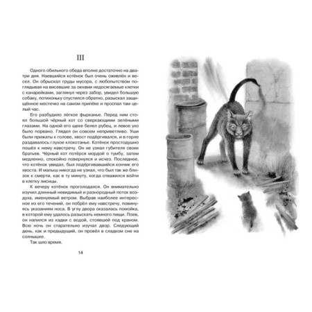 Stories about animals. Seton-Tompson E.-1