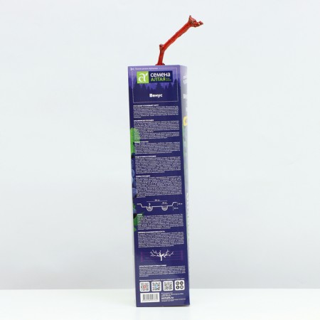 Venus grape seedling, 1 pc, spring 2024-2
