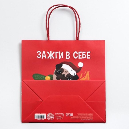 Gift package "Light in yourself", 22 x 22 x 11 cm, New Year-4