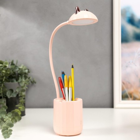 Table lamp with AKB 16216/1PK LED 4W 3000/6000K USB pink 8x8x44.5 cm Risalux-5