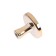 Cappio, RK103, d = 33 mm, plastic, gold gold pen.