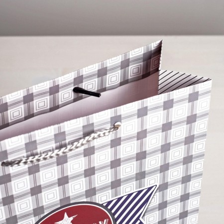 Gift Laminated Vertical, packaging, “Stylish man”, Ml 23 x 27 x 8 cm-3
