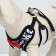 A set with a soft harness and a bow "feathers", size M, leash 120 x 1.5 cm, og 28-46 cm