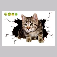 Stick 3D interior cat 30*20cm