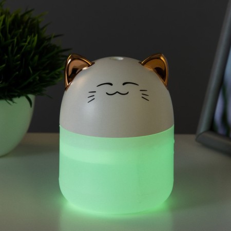 Night-owner "Tigeron" LED 2W USB 250ml white 8.4x8.4x10.8 cm Risalux-5