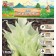 Хоста "White Feather ®", р-р I, размер SM,1 шт,