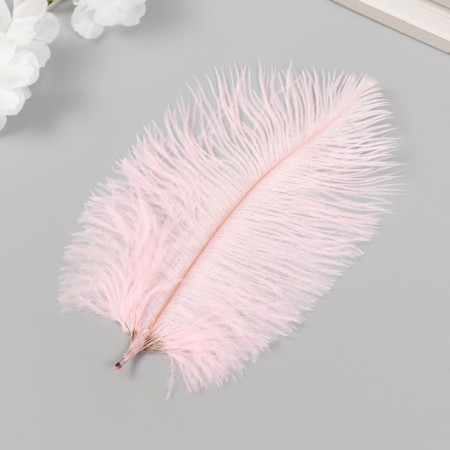 Decorative ostriches "Pink marshmallow" h = 15-20 cm-1