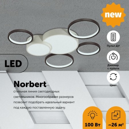 Ceiling chandelier Norbert LED 100W 6600lm, C