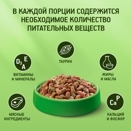 Dry food Kitekat "Appetizing chicken" for cats, 350 g-3
