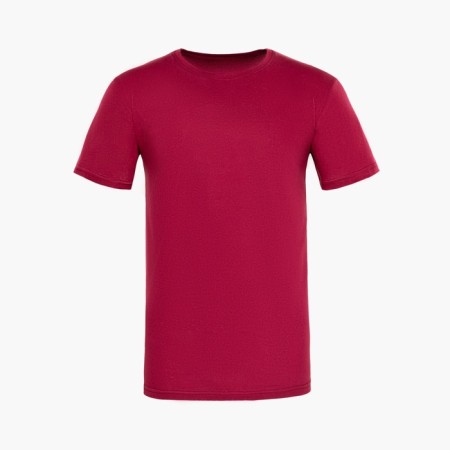 Male T -shirt, Bordeaux color, size 48-4