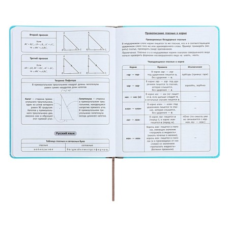 Universal diary for grades 1-11 Excellent, solid cover of artificial leather, silkography, lies, 48 ​​sheets, blue-9