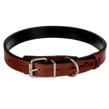 Collar zoonik 