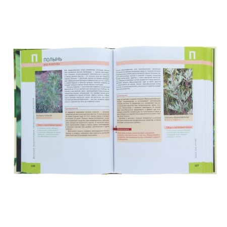 Large illustrated encyclopedia of medicinal plants. Author: Ilyina T.A.-2