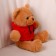 Soft toy "Bear" in a sweatshirt, 28 cm, color mix
