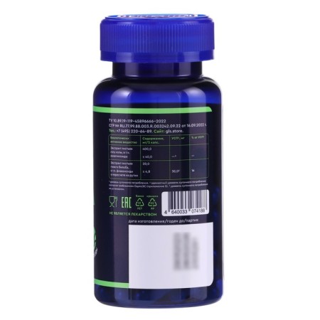 Ginkgo biloba + gota cola GLS for the brain, memory and concentration, 60 capsules of 380 mg-1