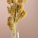 Set of dried flowers "licorice", ban 3 pcs, length 60 (+/- 6 cm), yellow