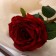 Artificial flowers "Rose Aesthetics" 10x49 cm, red