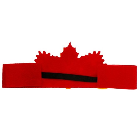 Carnival set "Autumn Prince": a cloak and a bandage-9