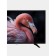 TV Vesta 50v3500, 50 ", 3840x2160, DVB-T2/C/S2, HDMI 3, USB 2, Smart TV, black