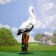 Garden figure "Stork on the bed" 27x42x83cm