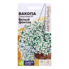 Bakop seeds 