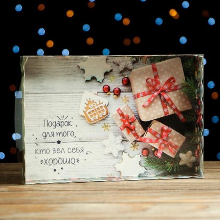 Box for cookies "Dried Gifts", 22 x 15 x 3 cm-4