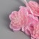 Decor for creativity "Camellia" pink (1 set = 1 bouquet) in the bouquet 6 pcs 4x11 cm