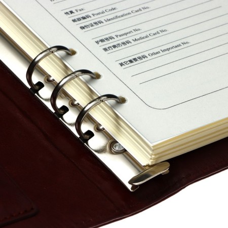 Organizer on the rings of "Classic" A5, 96 sheets in a line with a strap, mix-5