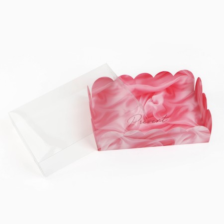 CPDITERS box with PVC cover Present, 20 x 30 x 8 cm-3