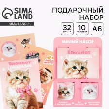 Set of notebook A6, 32 sheets, stickers, magnetic bookmarks 