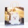 Pack "White Spitz", soft plastic, 30 x 30 cm, 100 μm