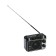 RITMIX RPR-171, FM, MP3, USB, AUX radio receiver