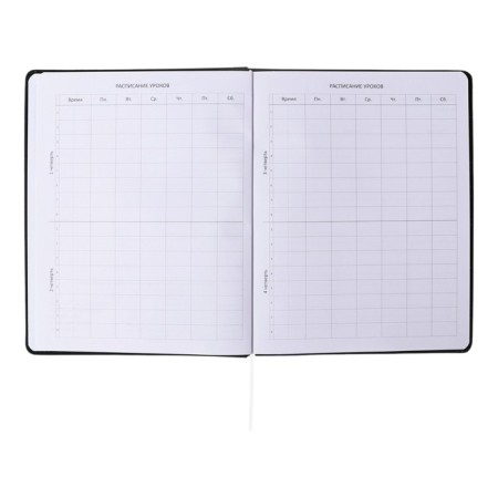 Universal diary for grade 1-11, solid cover, artificial leather, foil embossing, liesse, 80 g/m2-5
